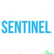 Sentinel (2013) (2013/ENG/Polski/License)